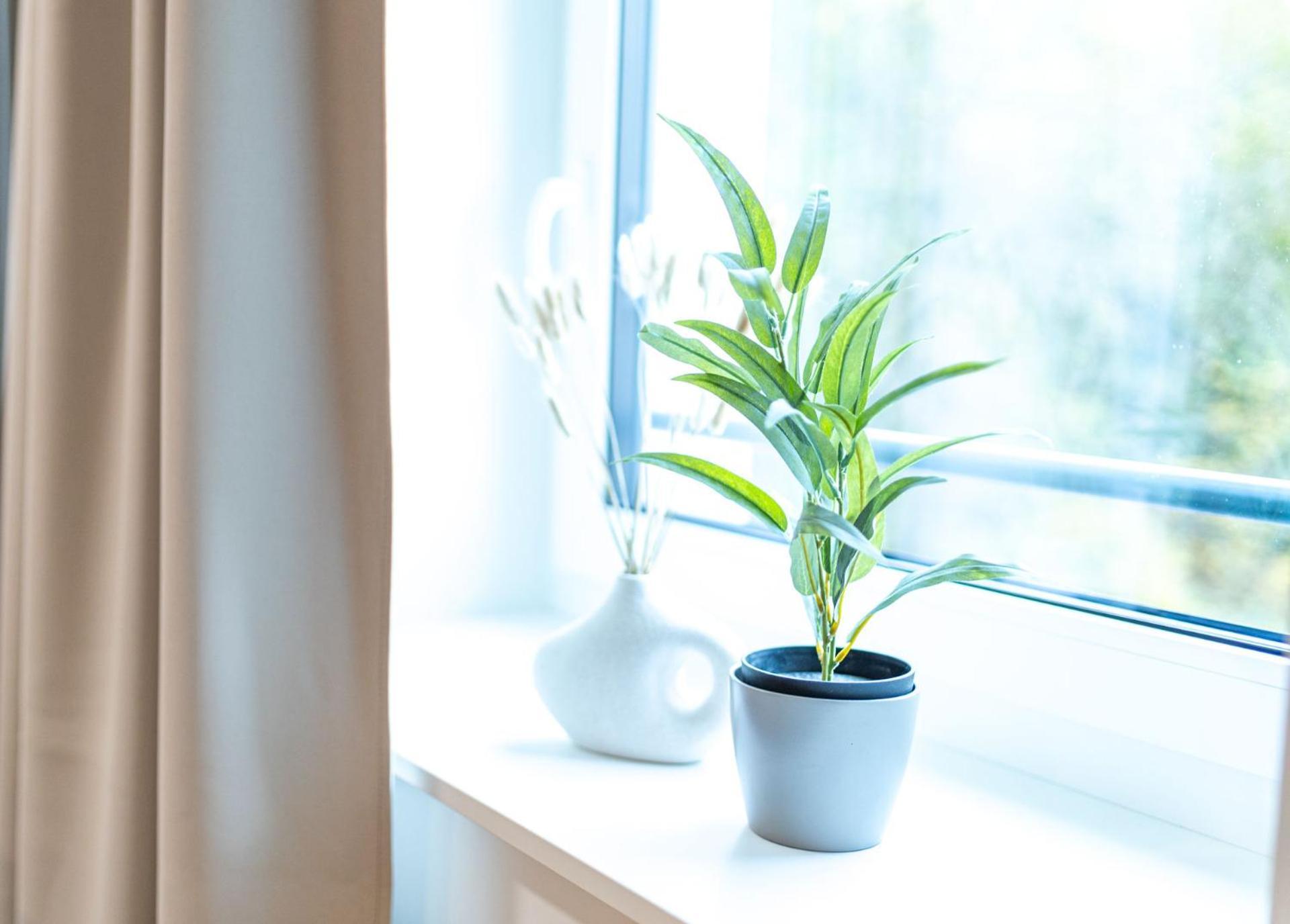Dwellstay - City Apartments Fulda Kamer foto